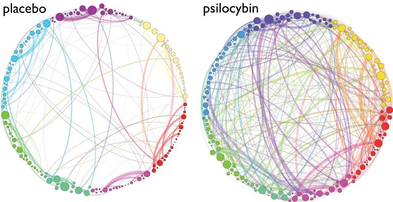 Brain networks on and off Psilocybin (Magic Mushrooms)