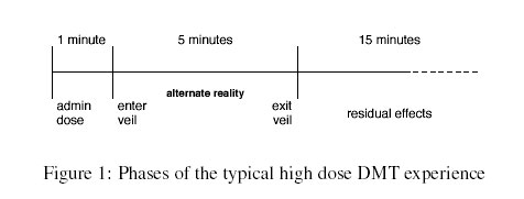 Typical DMT Phases