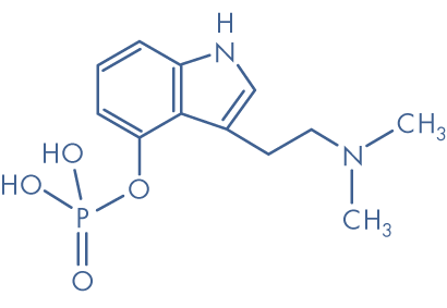 Spirit Molecule – Psilocybin Molecule Spirit Molecule - Psilocybin Molecule
