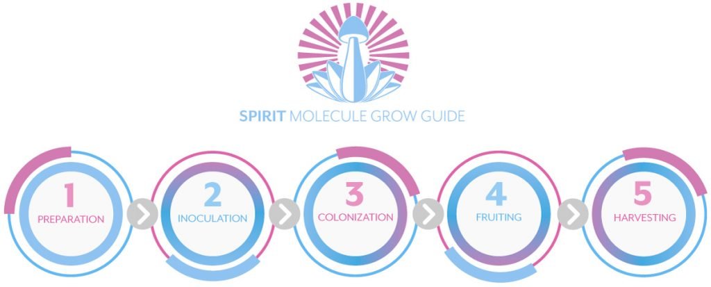 Spirit Molecule Psilocybin Mushroom Cultivation Guide – 5 Steps to Growing Magic Mushrooms Spirit Molecule Psilocybin Mushroom Cultivation Guide - 5 Steps to Growing Magic Mushrooms
