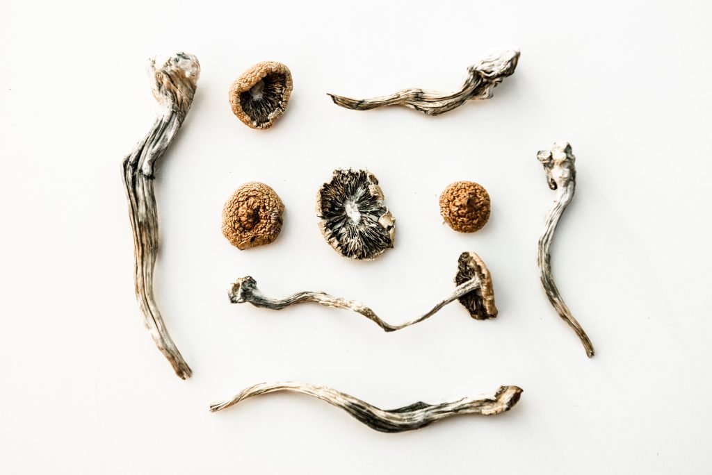 Spirit Molecule – Magic Mushrooms Spirit Molecule - Magic Mushrooms