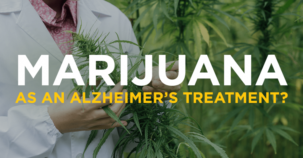 Marijuana Fights Alzheimer’s Disease, New Study Indicates - Spirit Molecule