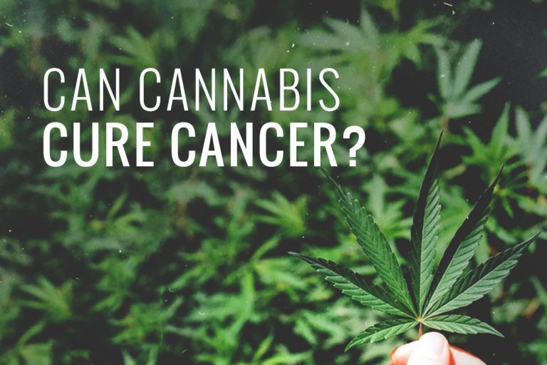 Cannabis Cured Cancer Cannabis Cured Cancer