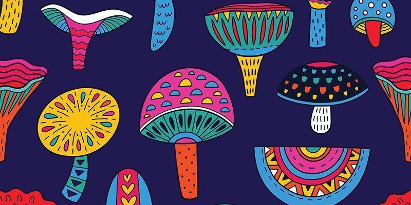 The Mushroom/LSD Experience Explained & Explored